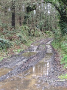 This is the road to the castle?