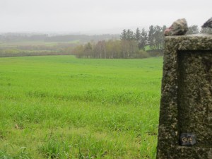 One of the few markers for a Gus rock. 