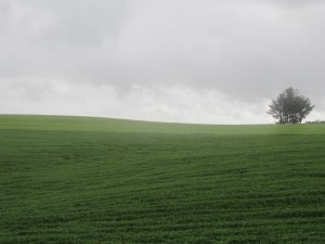 More hills, more rain. 