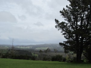 The view from our lunch spot just off the road 