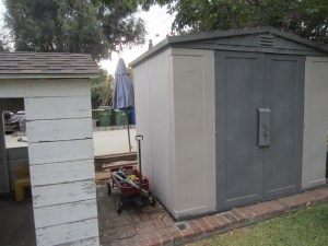 We found the radio flyer here. The thing about this spot is that Gus used to spend a great deal of time perched on these two roofs. 